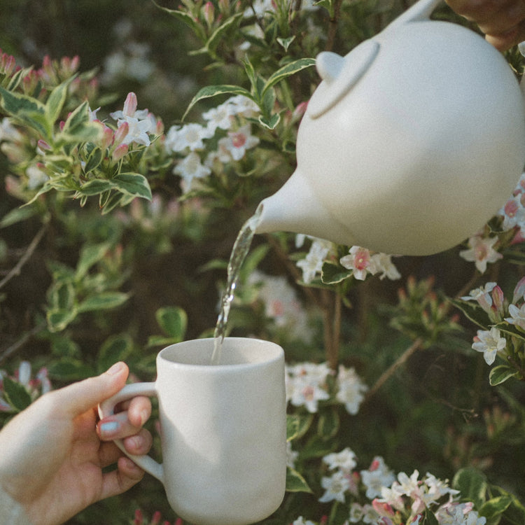 Spring Teas - Loose Leaf Teas for Springtime - Spring Awakening, Refresh, Recharge | Heavenly Tea Leaves