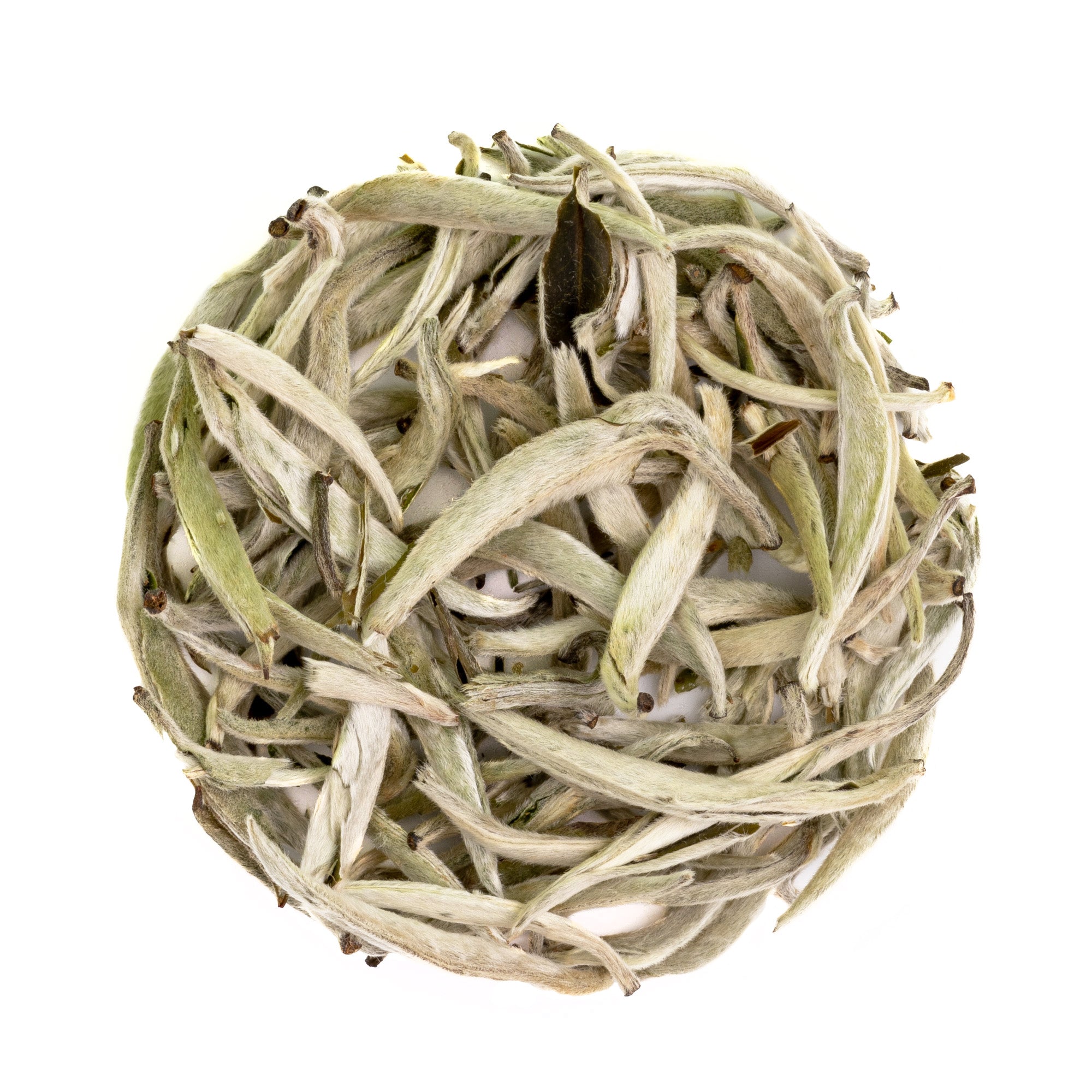 Organic Silver Needle - Artisan Loose Leaf White Tea - Rare Tea - Premium White Tea | Heavenly Tea Leaves