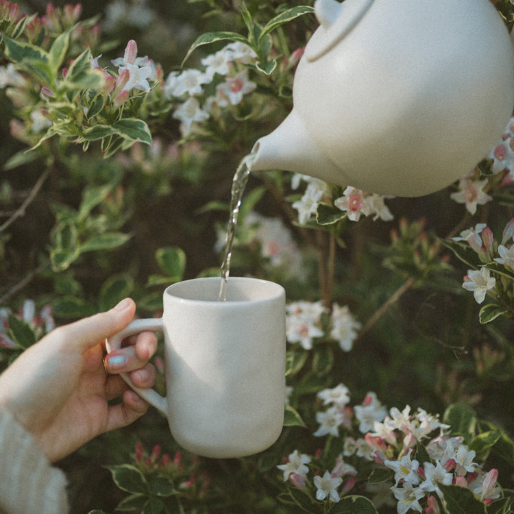 Sales & Specials, Limited Time Offers, Discounted Items, Final Sale | Heavenly Tea Leaves