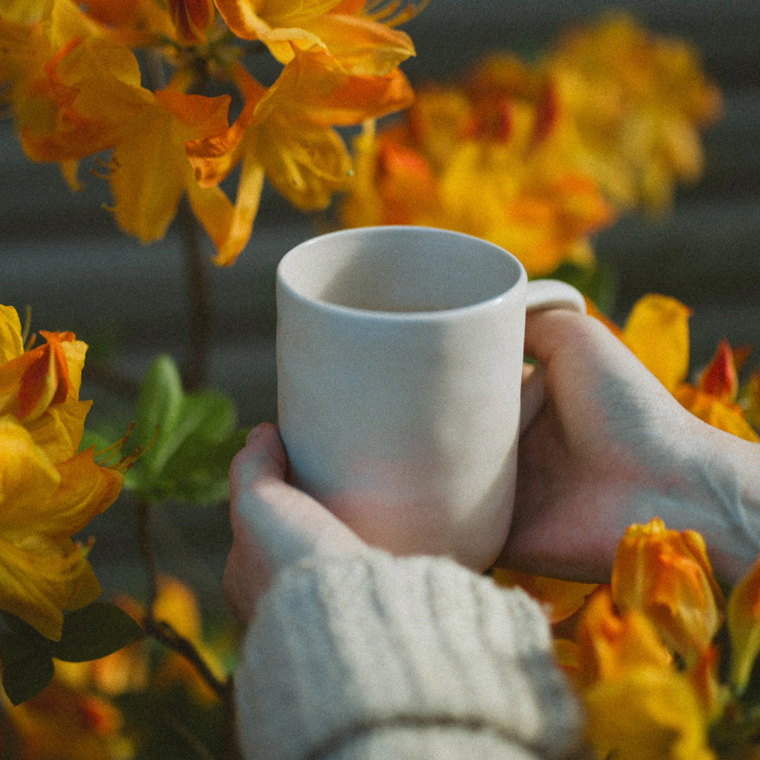 Sustainable Loose Leaf Teas - Green Initiatives - Eco-Friendly Packaging | Heavenly Tea Leaves 